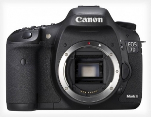 canon7dmarkii